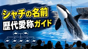 名古屋港水族館のシャチの名前は「リン」｜歴代5頭の愛称と家系図を完全解説のアイキャッチ画像