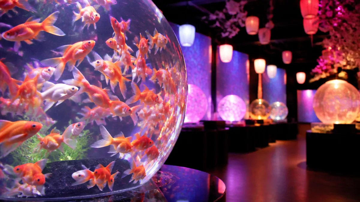 見どころガイド|約70種・3,000匹の金魚が生み出す幻想世界の解説画像