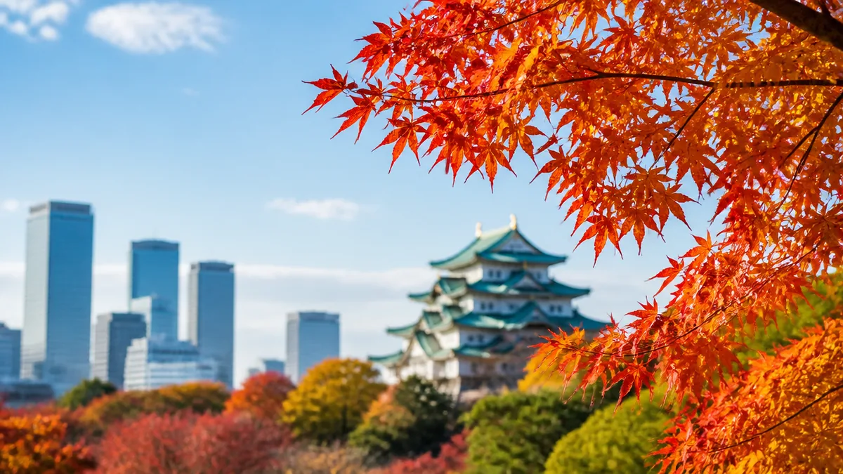 そもそも何月に行けばいい?色づき始めからピークまでのカレンダーの解説画像