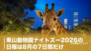 東山動物園ナイトズー2026の日程は8月の7日間だけ｜混雑回避と夜の見どころ完全ガイドのアイキャッチ画像