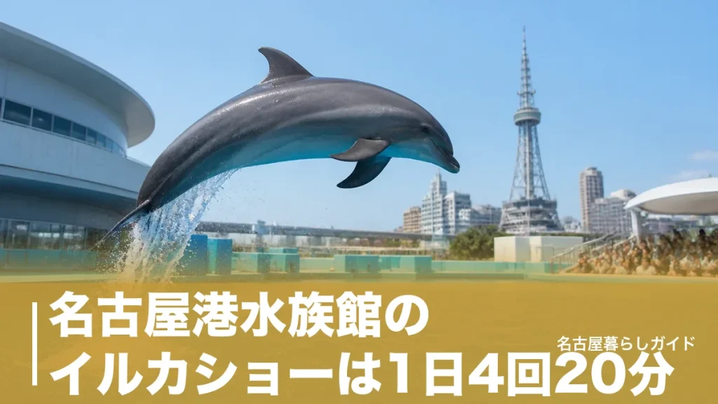名古屋港水族館のイルカショーは1日4回20分｜席取り禁止でも良席に座る時間術のアイキャッチ画像