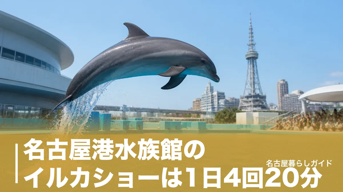 名古屋港水族館のイルカショーは1日4回20分｜席取り禁止でも良席に座る時間術のアイキャッチ画像