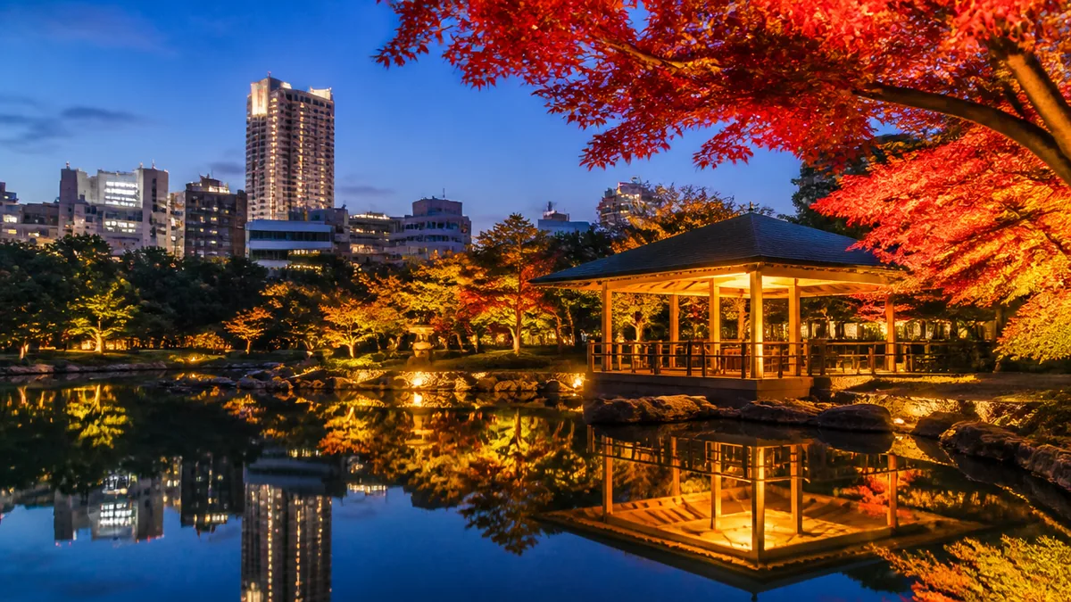 白鳥庭園の紅葉ライトアップ2026はいつ？例年の日程パターンから読み解くの解説画像