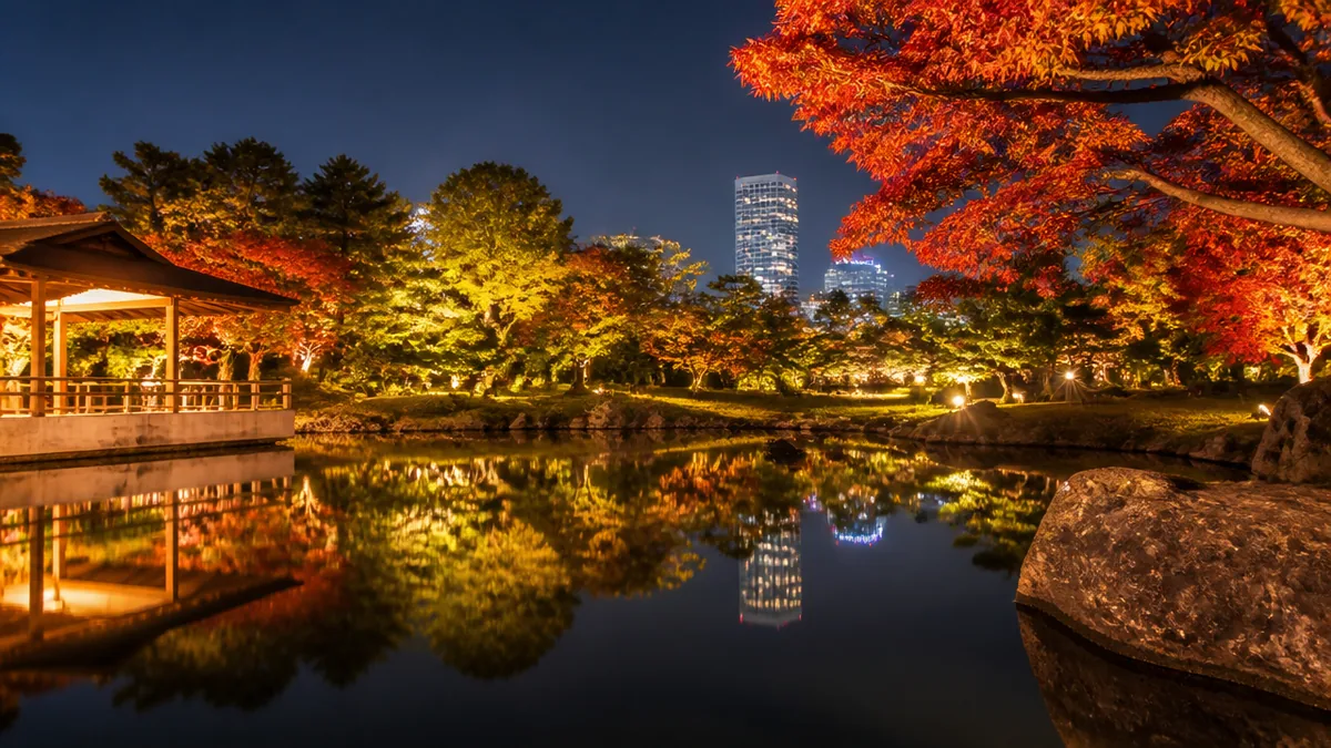 水鏡に映る紅葉が主役｜夜の庭園で見逃せないポイントの解説画像