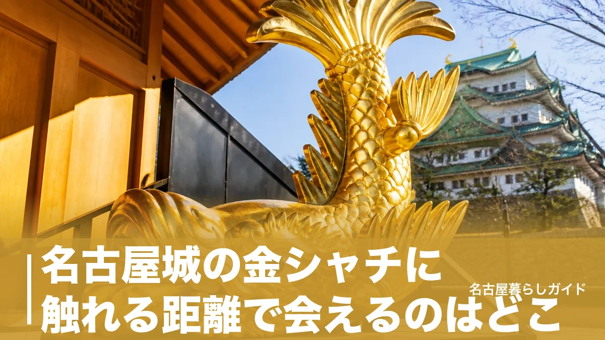 名古屋城の金シャチに触れる距離で会えるのはどこ?原寸大レプリカのある場所を完全ガイドのアイキャッチ画像