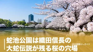 蛇池公園は織田信長の大蛇伝説が残る桜の穴場｜遊具・テニスコート・駐車場まで完全ガイドのアイキャッチ画像