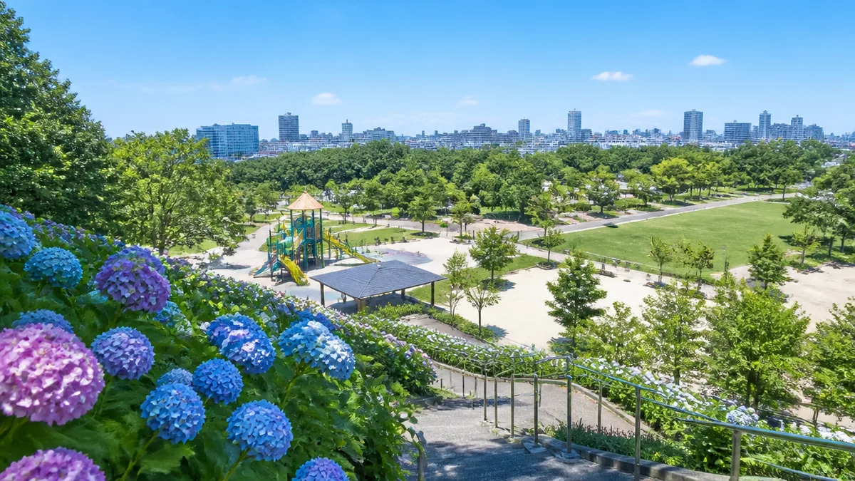 茶屋ヶ坂公園はどんな公園?3エリアの全体像を先につかもうの解説画像
